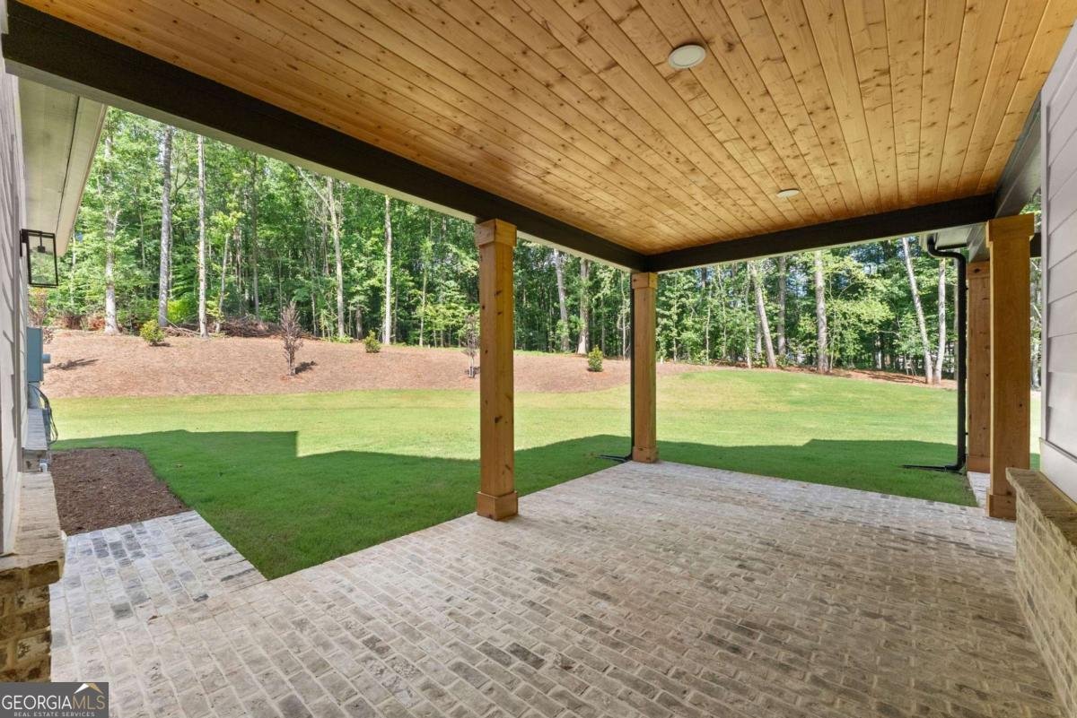 1178 Pinnacle Drive Hoschton - Photo 59