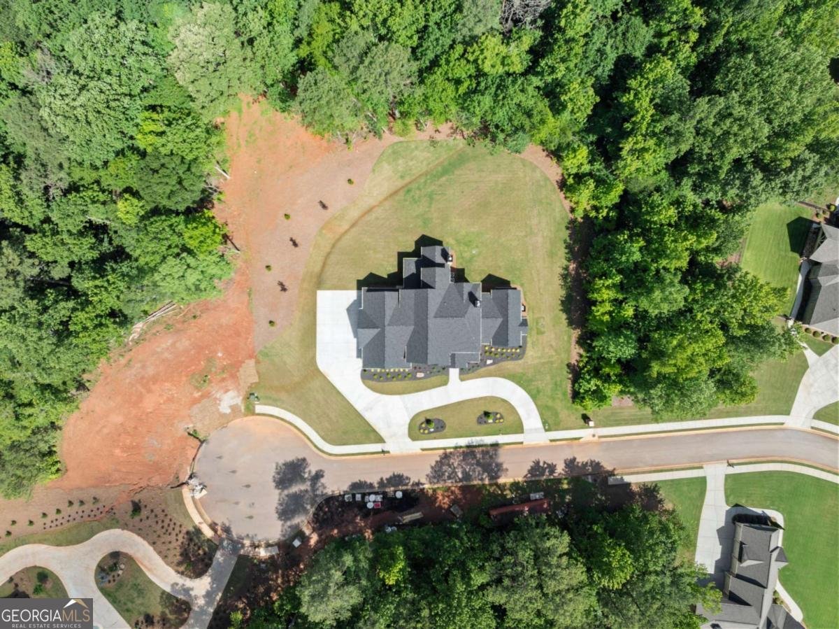 1178 Pinnacle Drive Hoschton - Photo 66