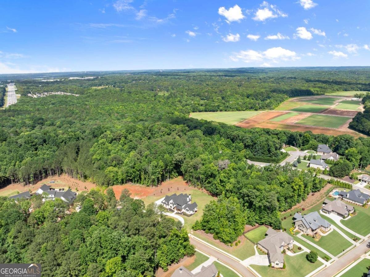1178 Pinnacle Drive Hoschton - Photo 74
