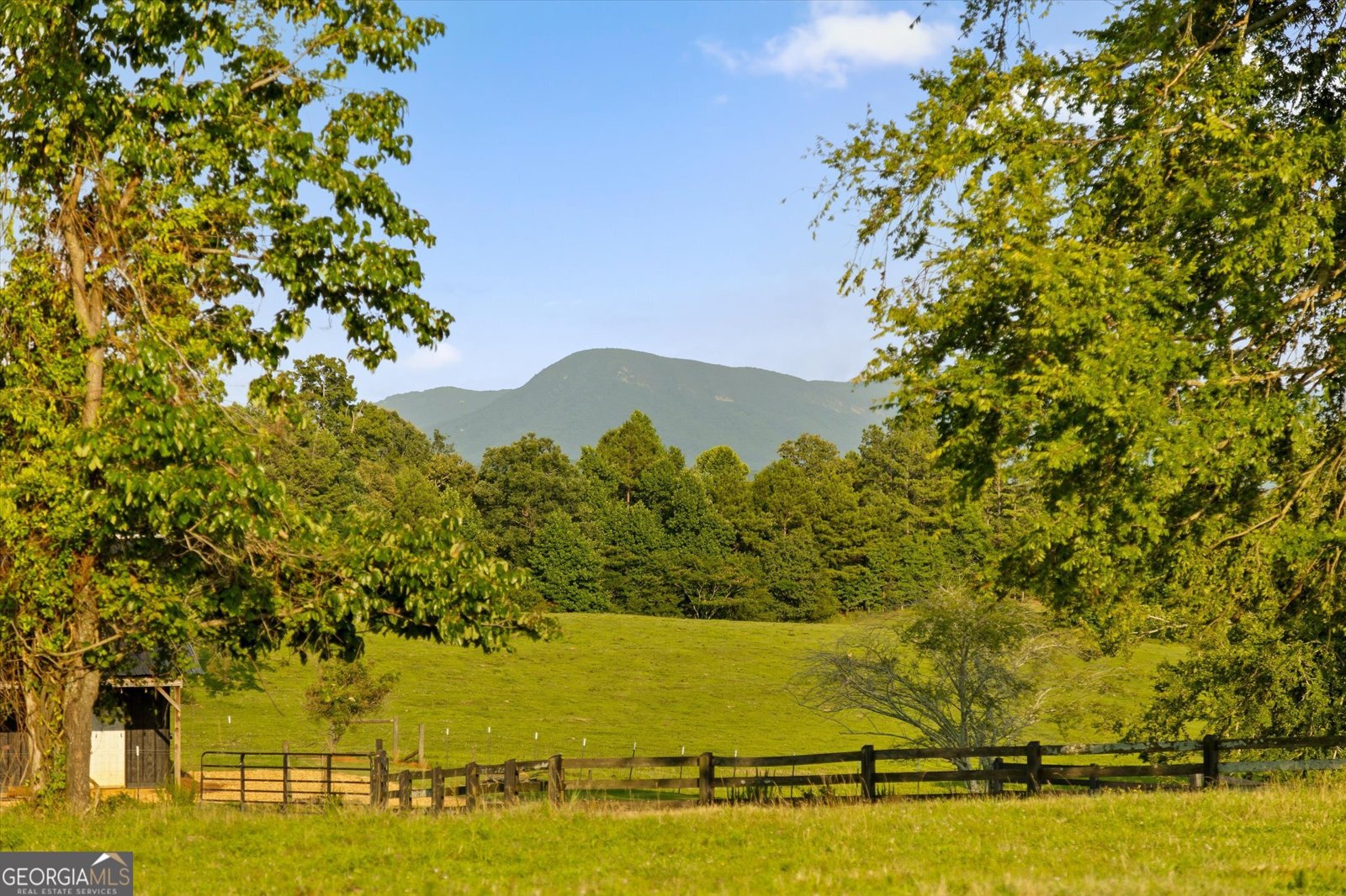 3905 Highway 286 Chatsworth - Photo 10
