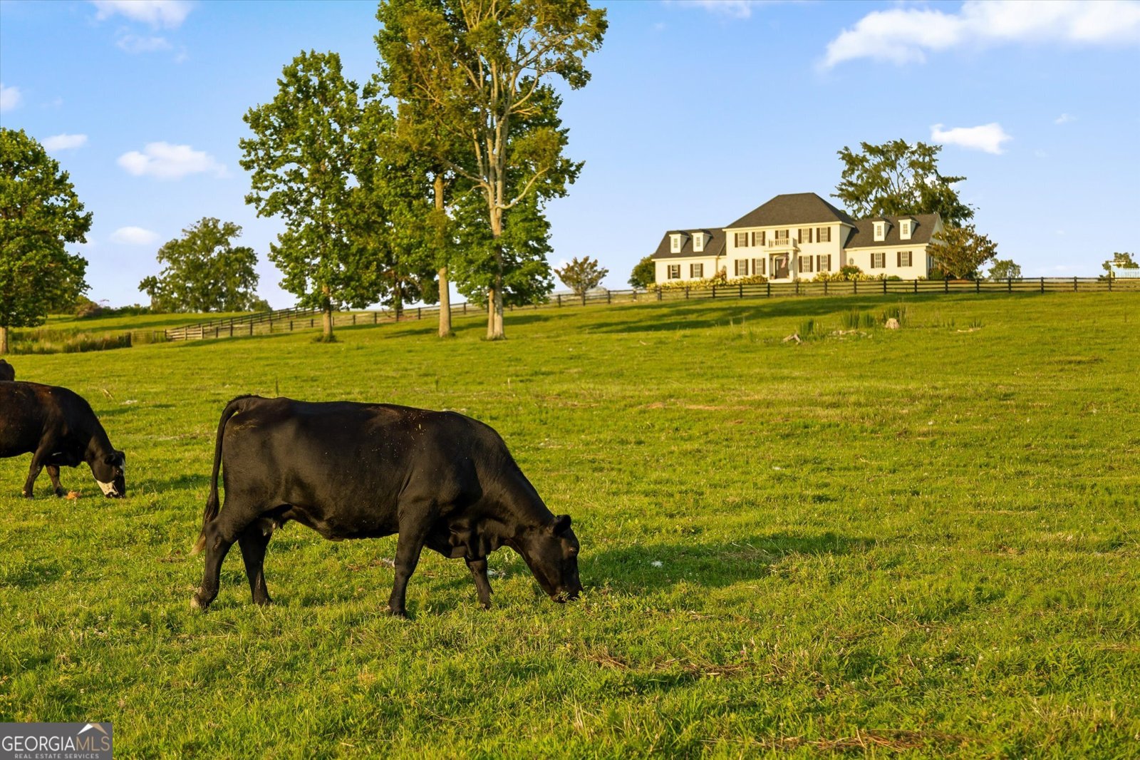 3905 Highway 286 Chatsworth - Photo 84