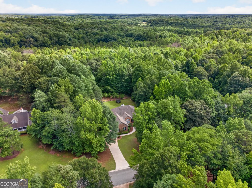 323 Oconee Lane Commerce - Photo 81