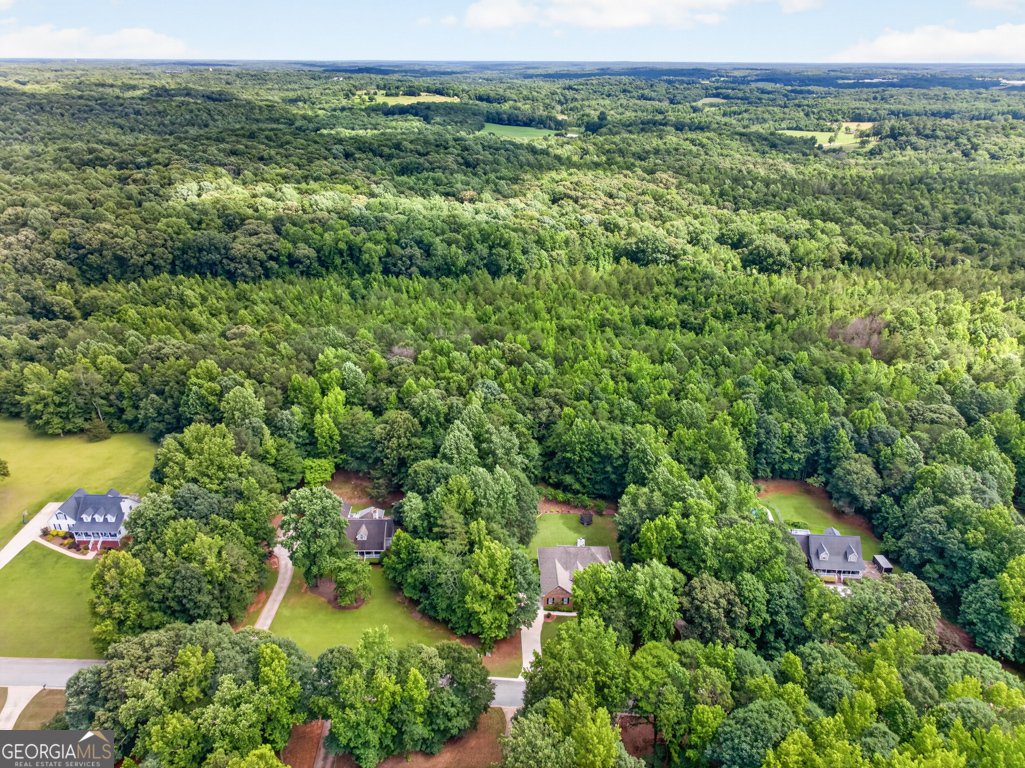 323 Oconee Lane Commerce - Photo 83