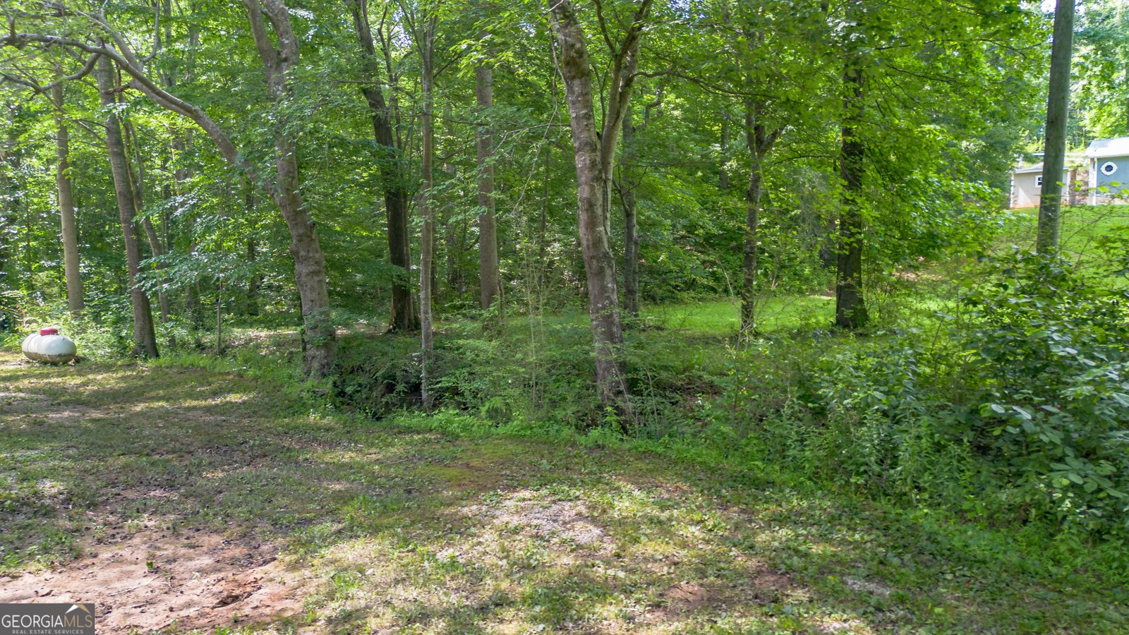 315 Woodland Avenue Roanoke - Photo 29