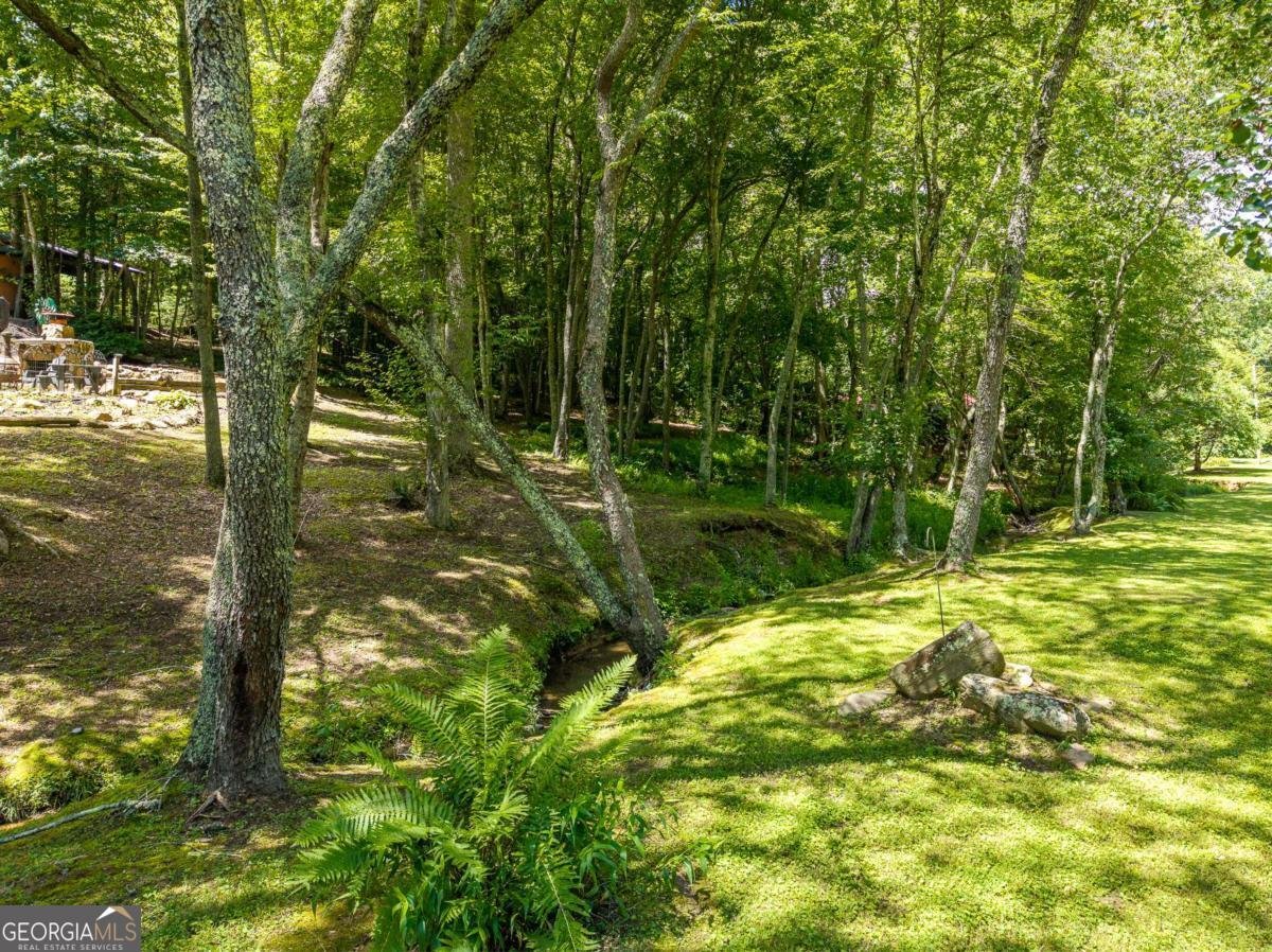 28 Wood Lane Blue Ridge - Photo 51
