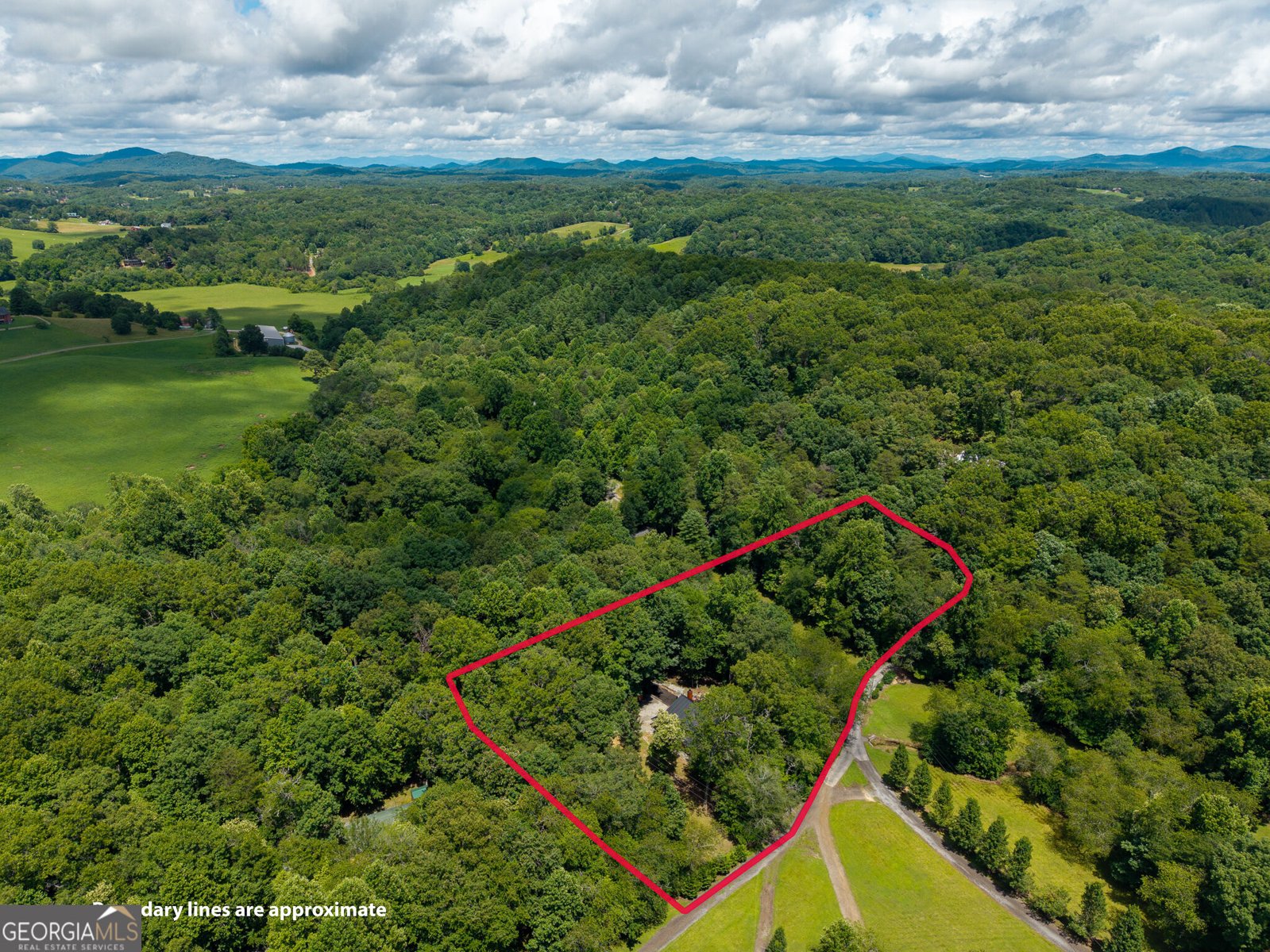 28 Wood Lane Blue Ridge - Photo 59