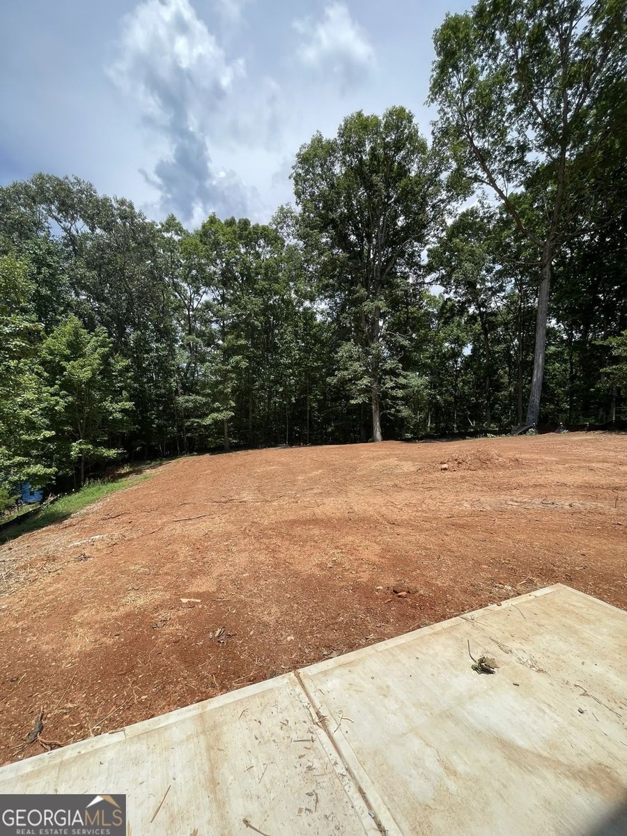 6156 Grant Ford Road Gainesville - Photo 32