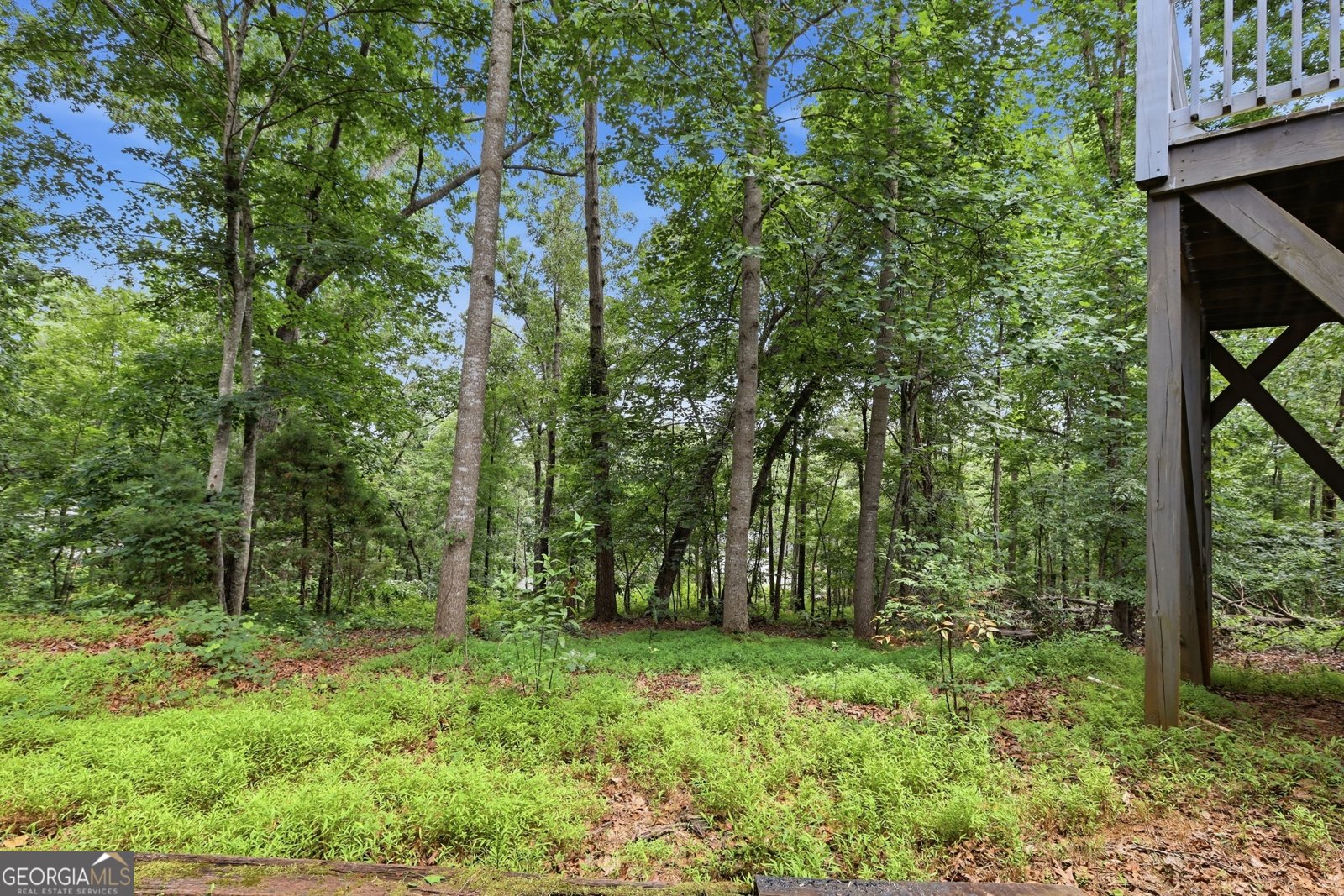 140 Tall Oaks Drive Alto - Photo 42