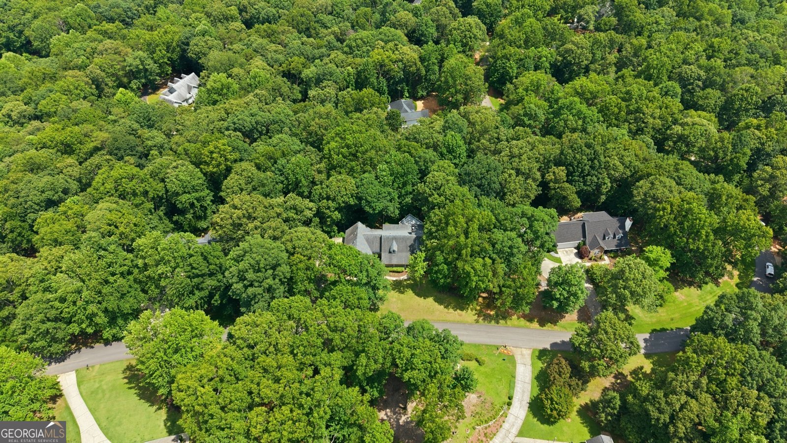 140 Tall Oaks Drive Alto - Photo 53