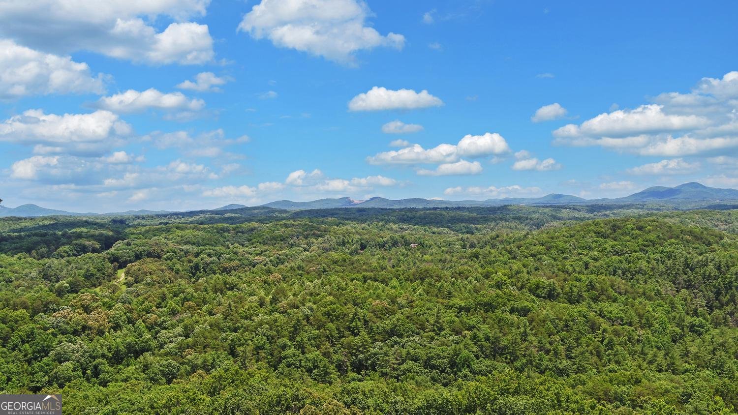 368 Stancil Dyer Road Dahlonega - Photo 70