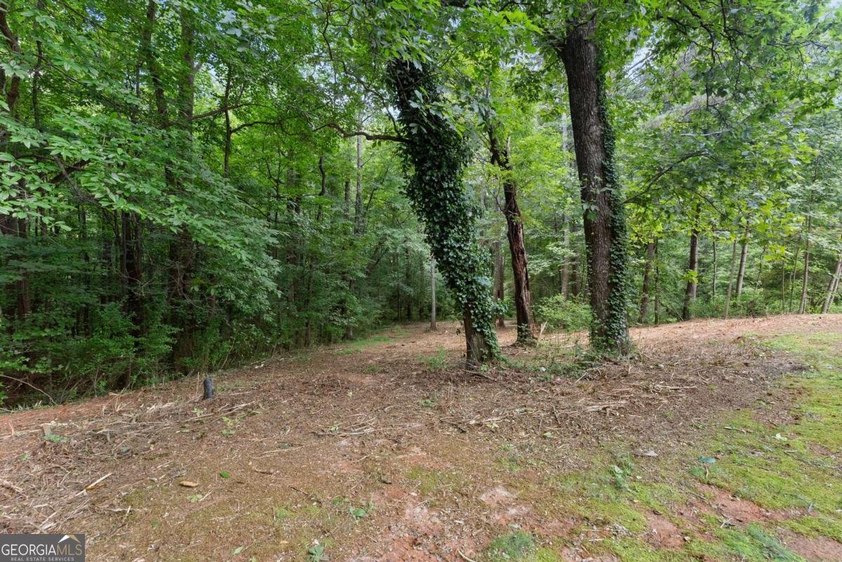 6000 Devonshire Drive Flowery Branch - Photo 42
