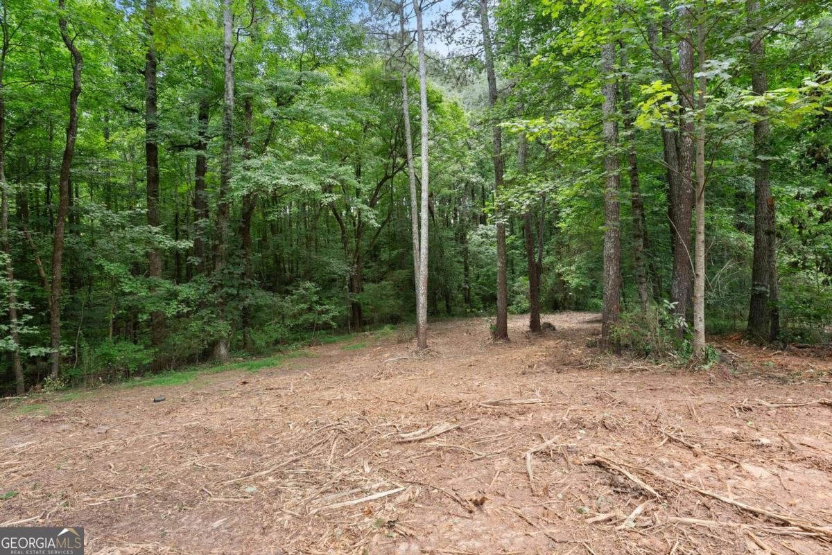 6000 Devonshire Drive Flowery Branch - Photo 43