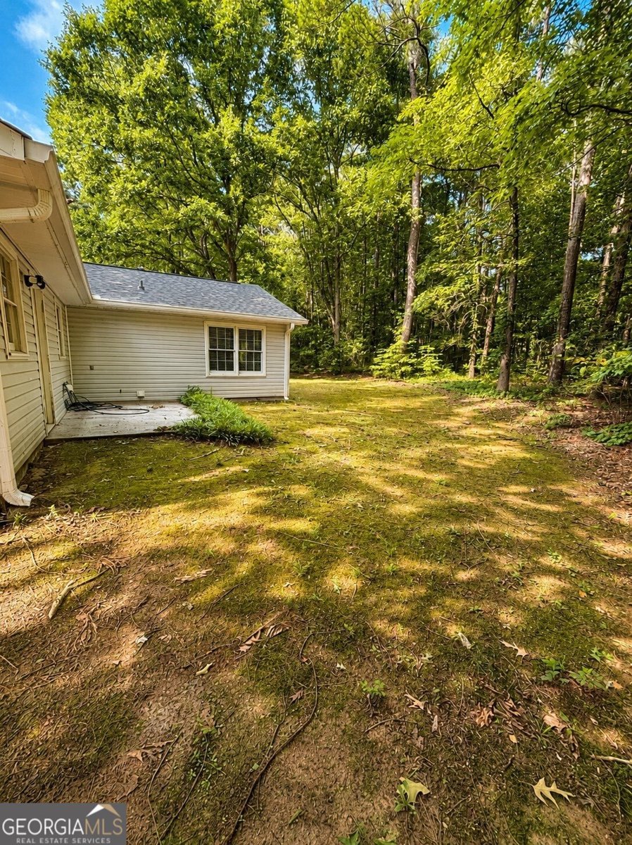 613 Windsor Drive Conyers - Photo 33