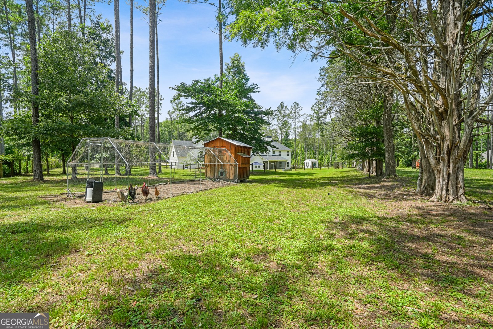 695 Dead Oak Road Senoia - Photo 62