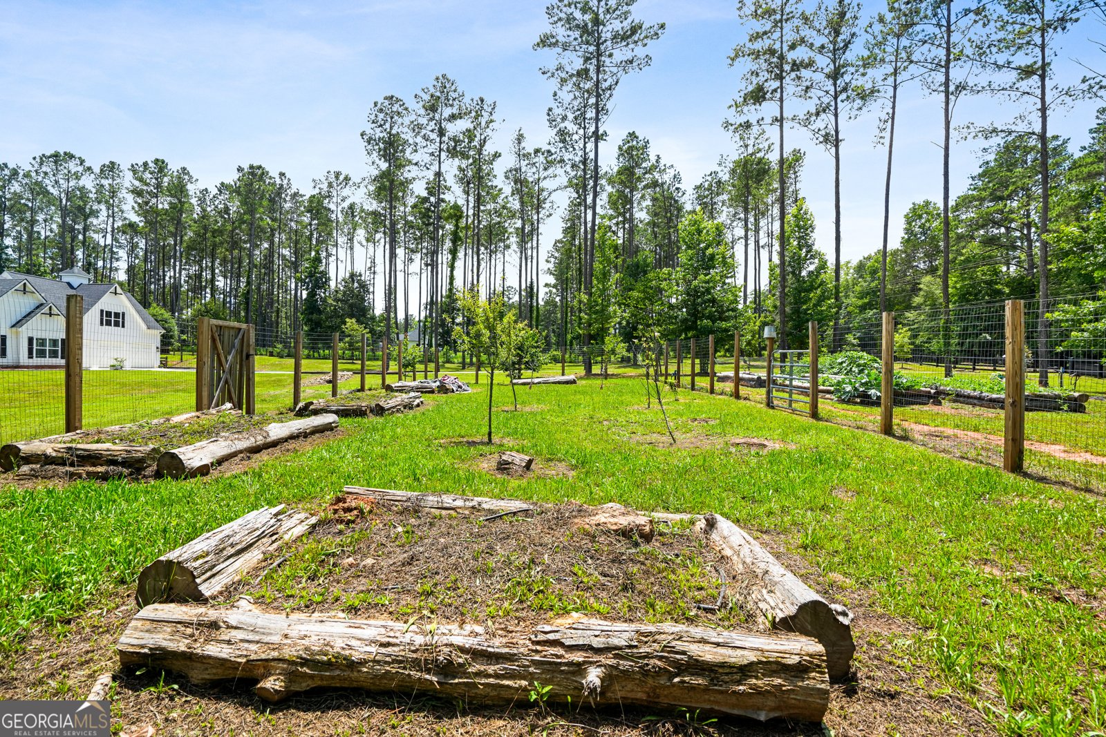 695 Dead Oak Road Senoia - Photo 67