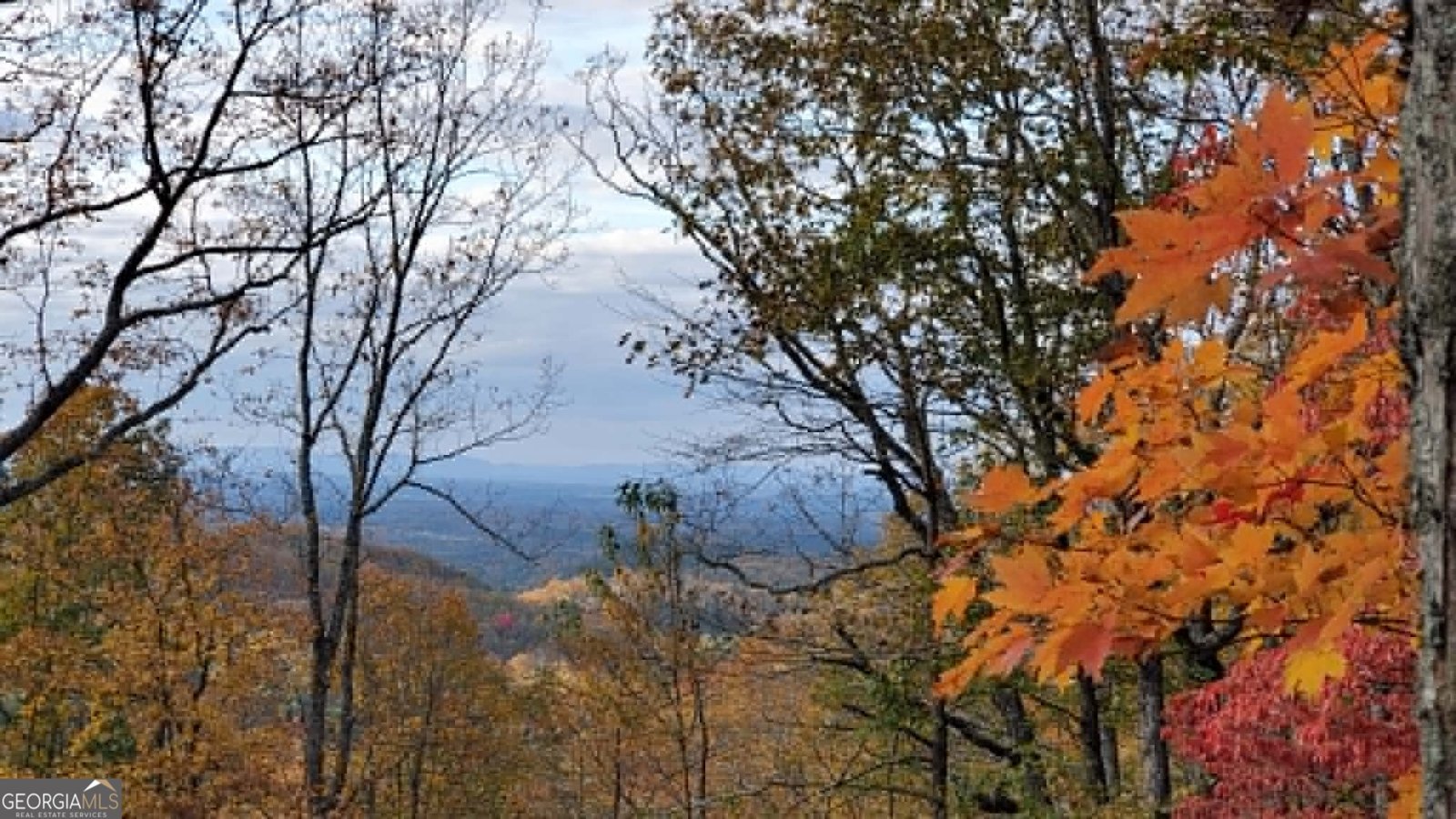1002 Raccoon Ridge Ranger - Photo 67
