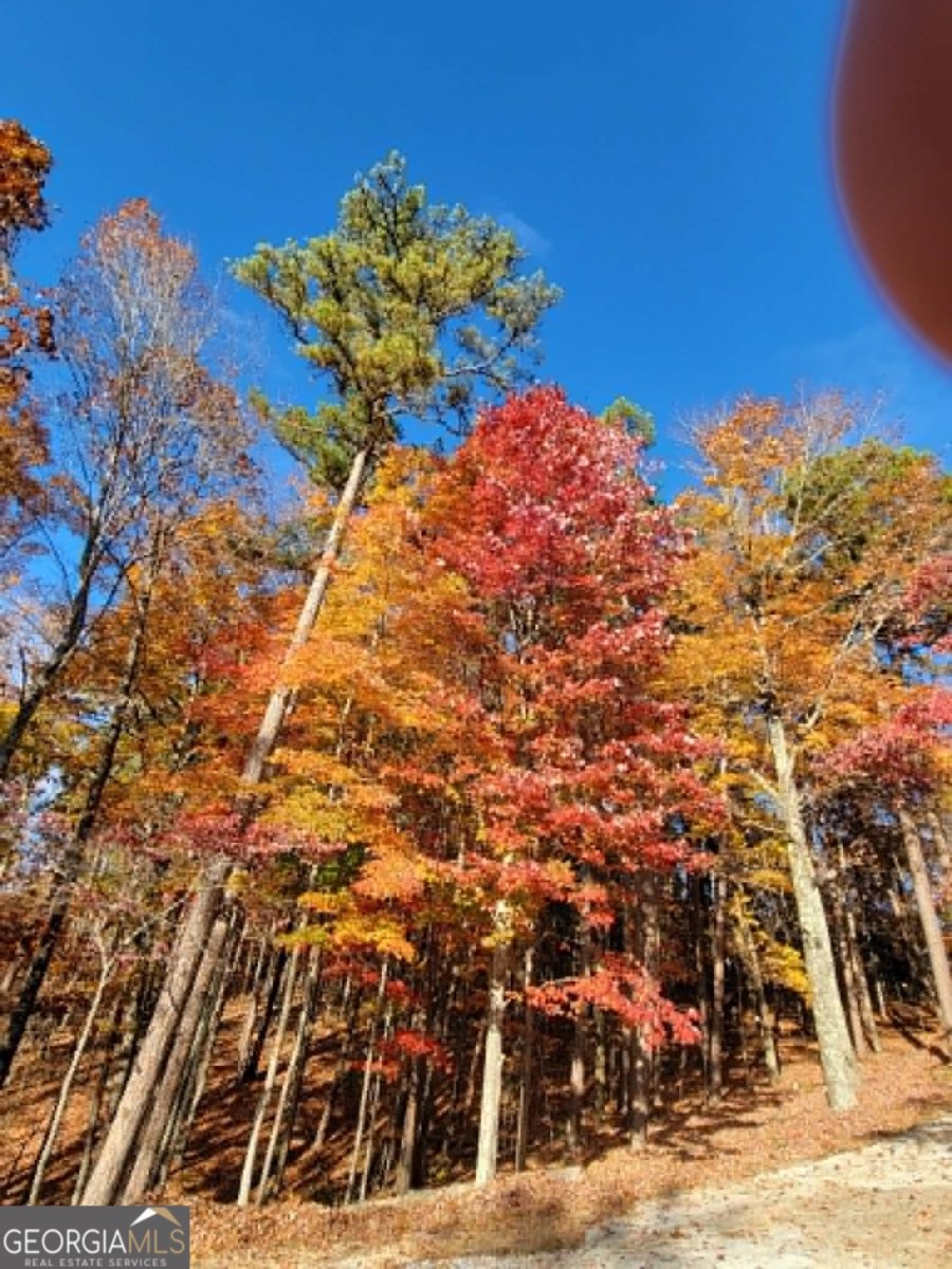 1002 Raccoon Ridge Ranger - Photo 69