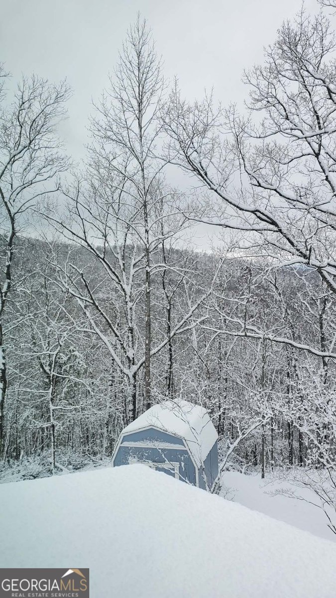 1002 Raccoon Ridge Ranger - Photo 70