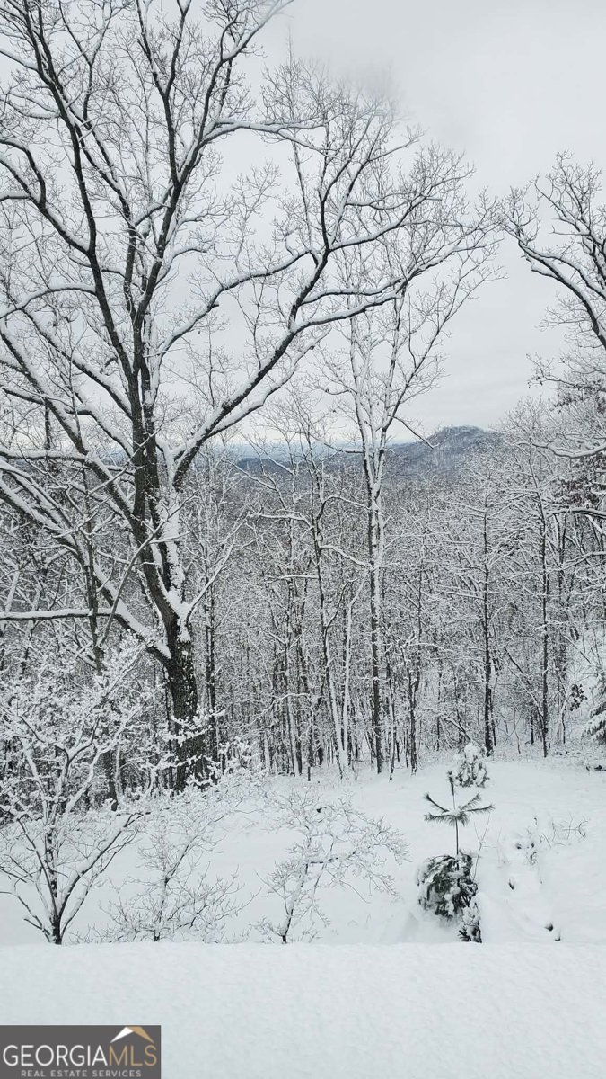 1002 Raccoon Ridge Ranger - Photo 72