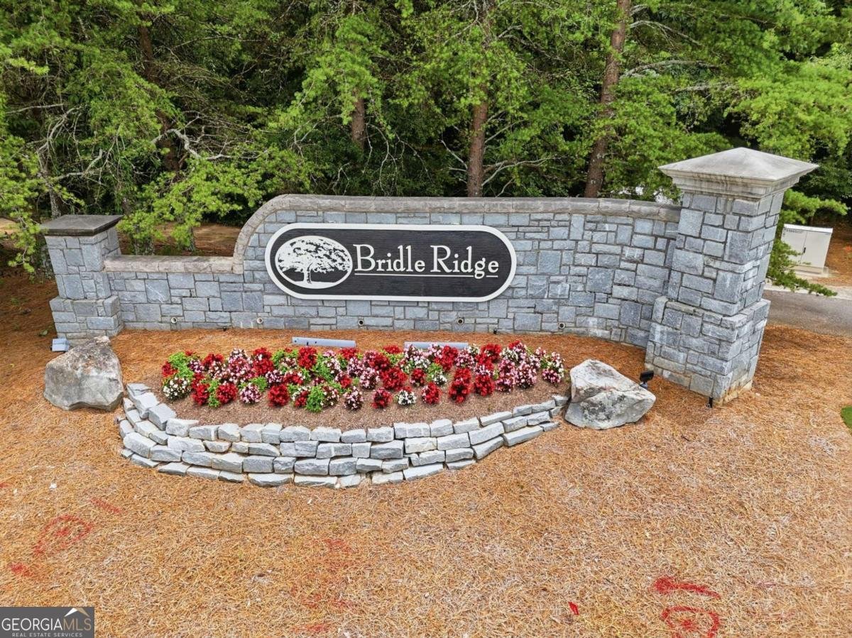3410 Parsons Run Suwanee - Photo 65