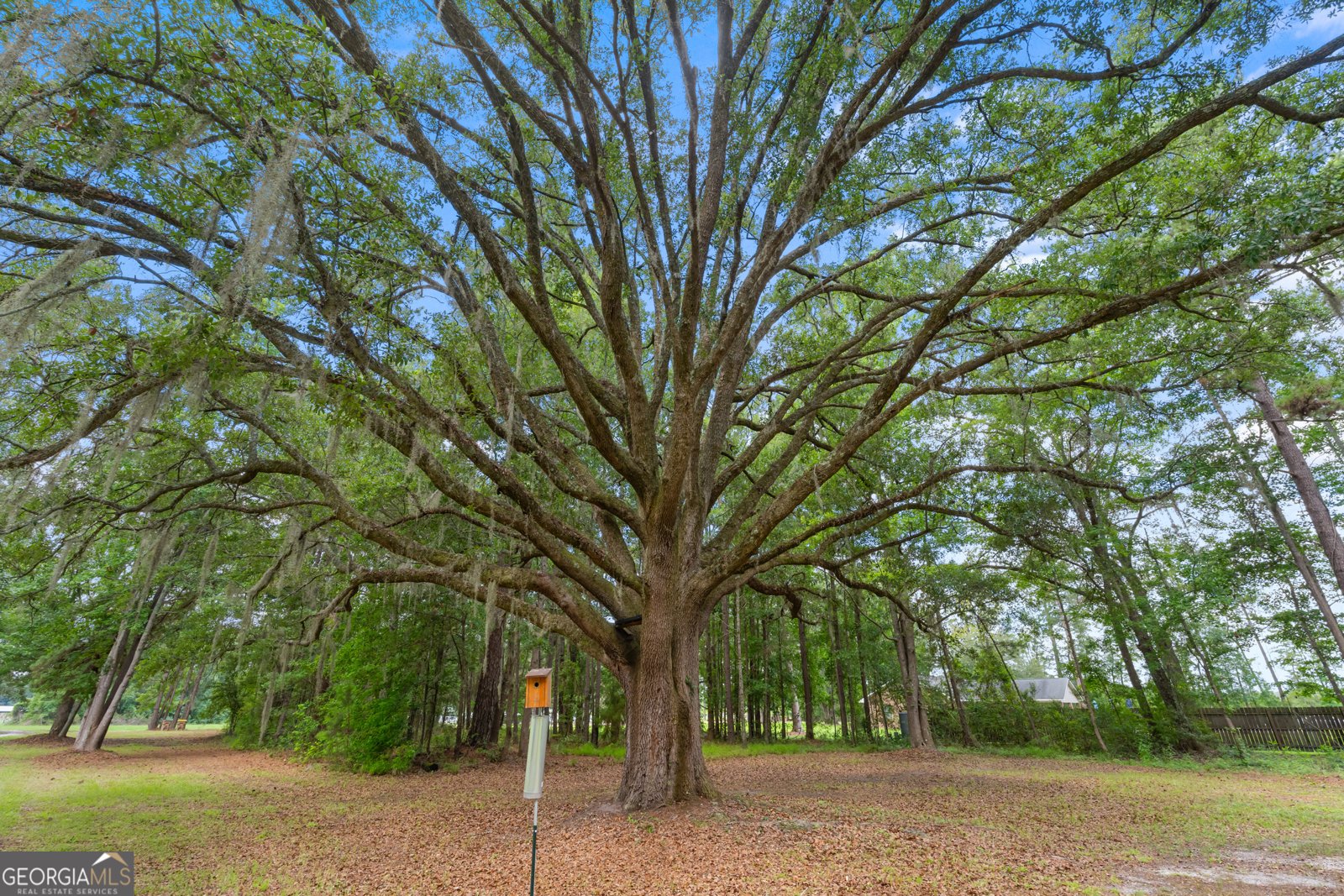 130 Porter Road Guyton - Photo 32