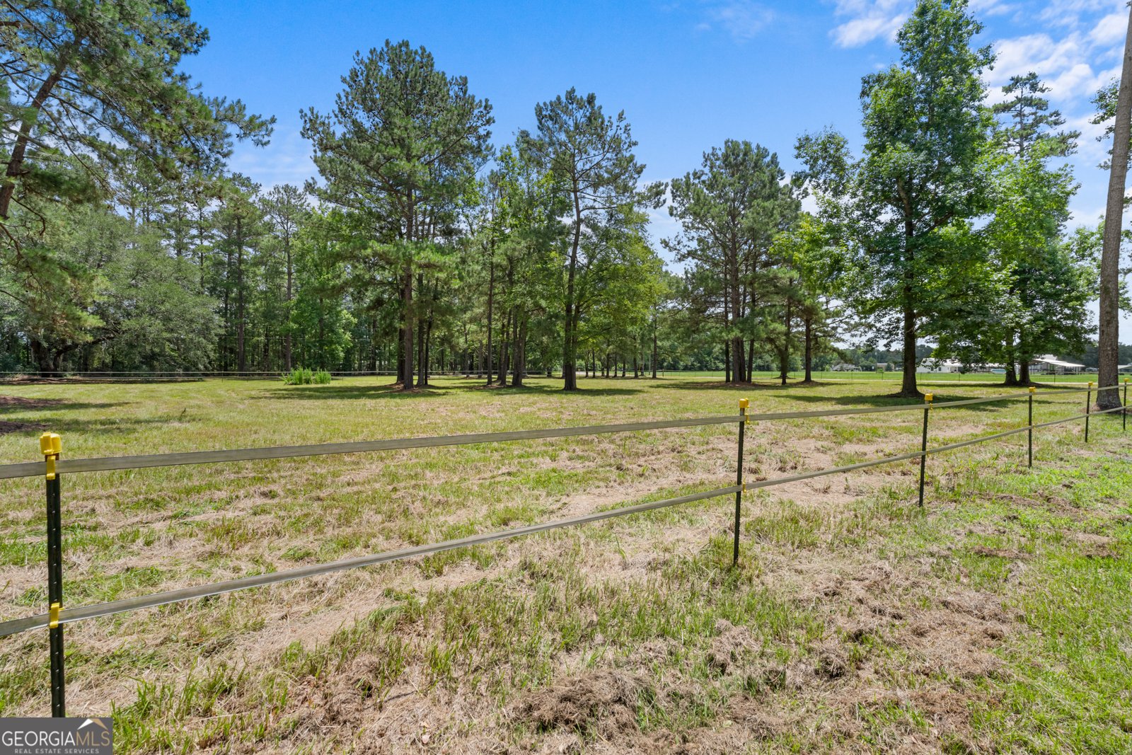 130 Porter Road Guyton - Photo 36