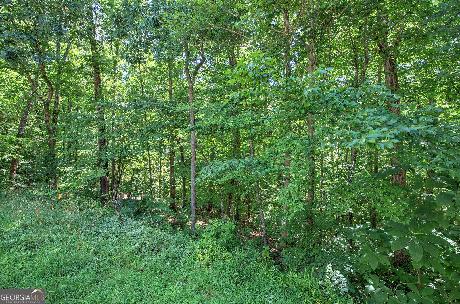 302 Waterfall Court Canton - Photo 53