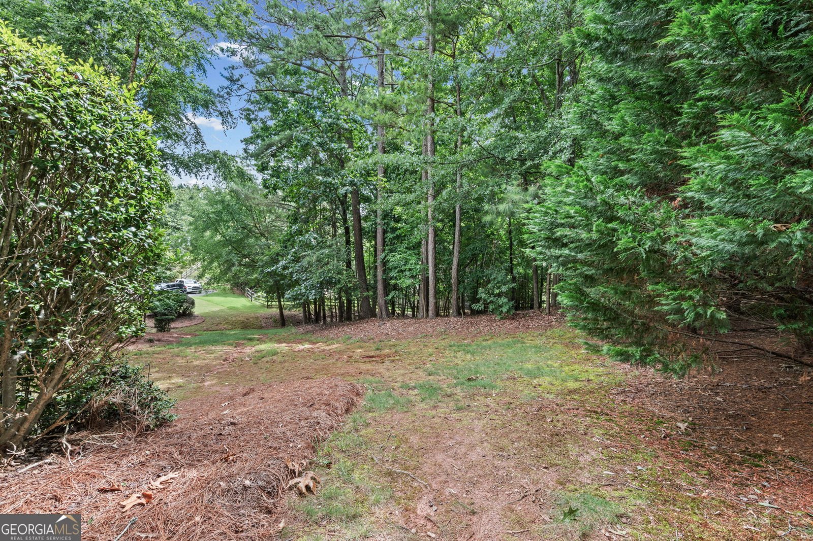 4250 Meadow View Court Cumming - Photo 32