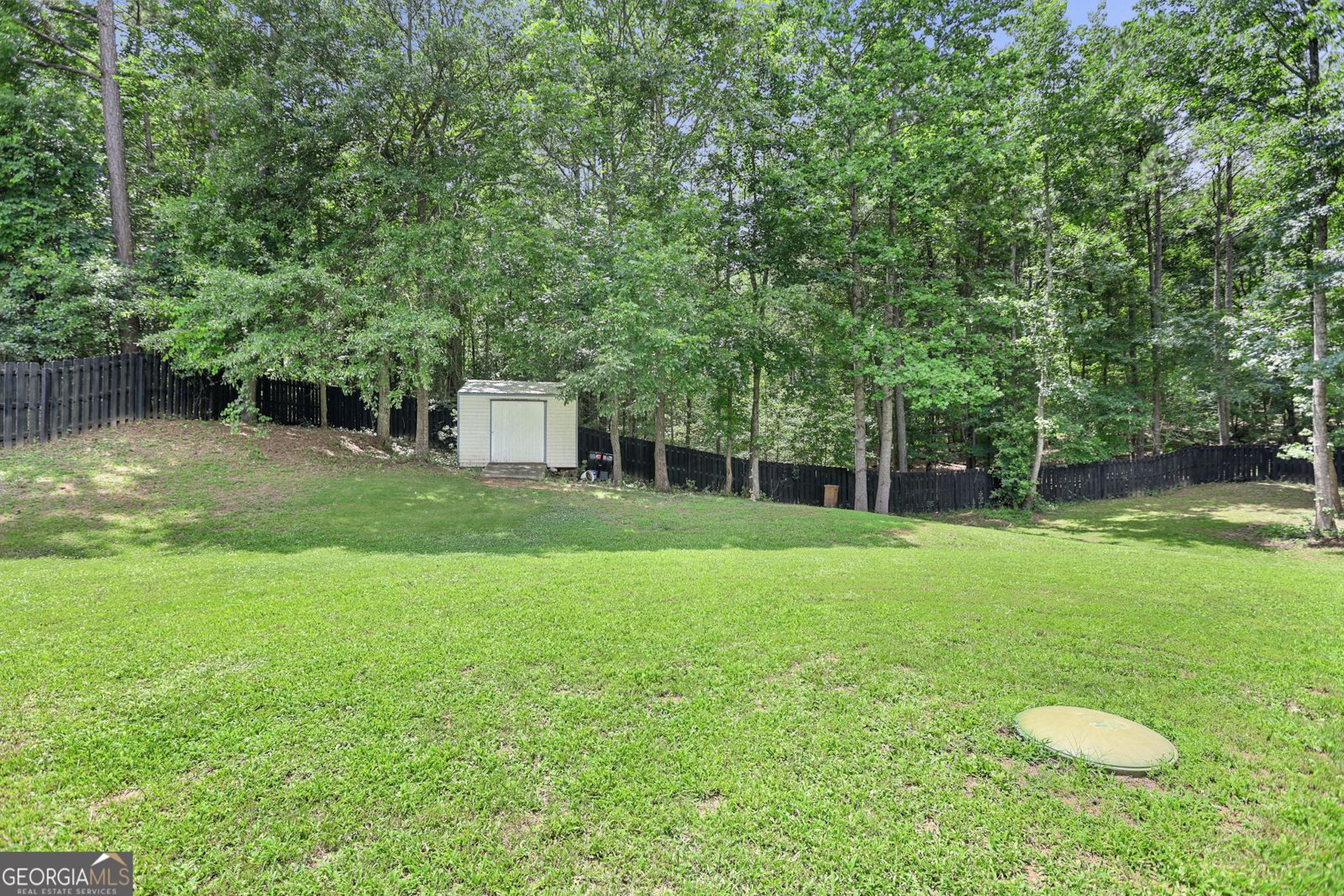 84 Blossom Lane Newnan - Photo 44