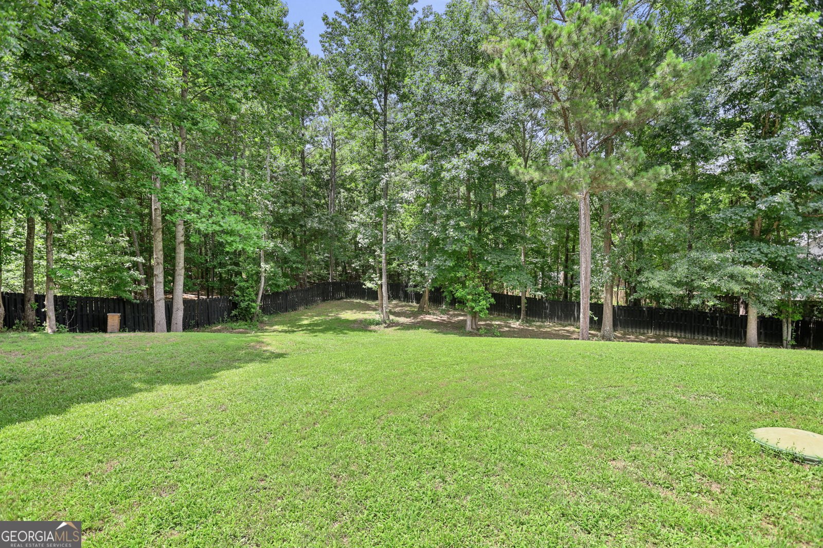 84 Blossom Lane Newnan - Photo 45