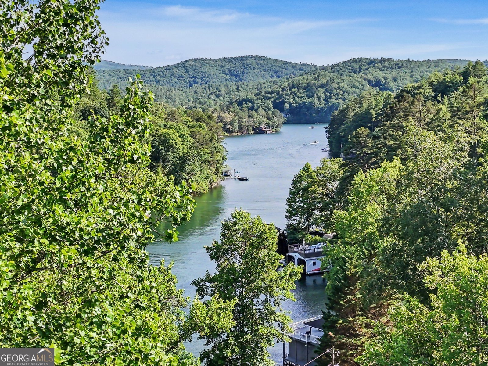 276 Fulton Road Tiger - Photo 51