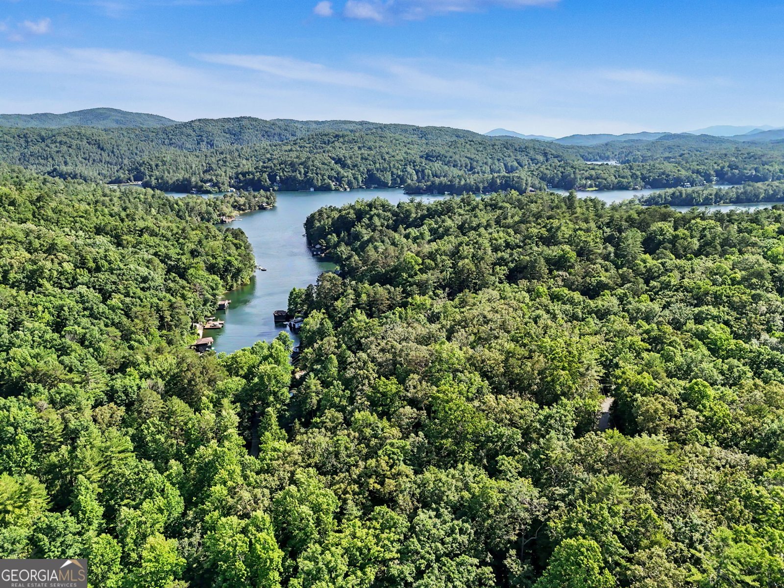 276 Fulton Road Tiger - Photo 52
