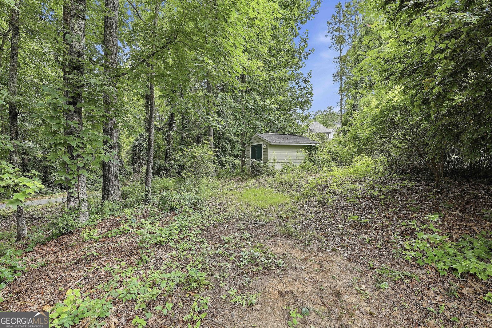 311 Lamella Lane Peachtree City - Photo 42
