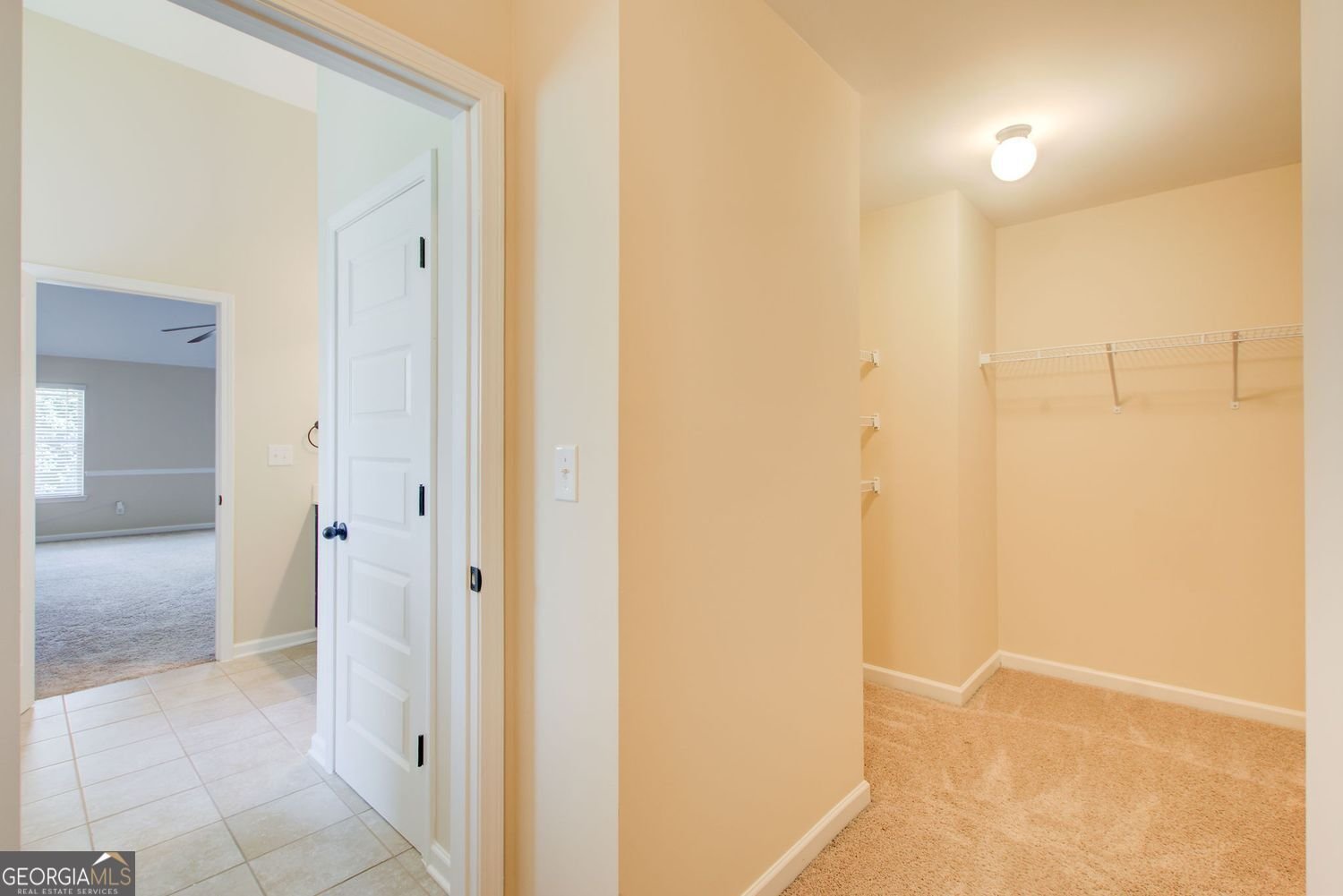 344 Mango Court McDonough - Photo 29