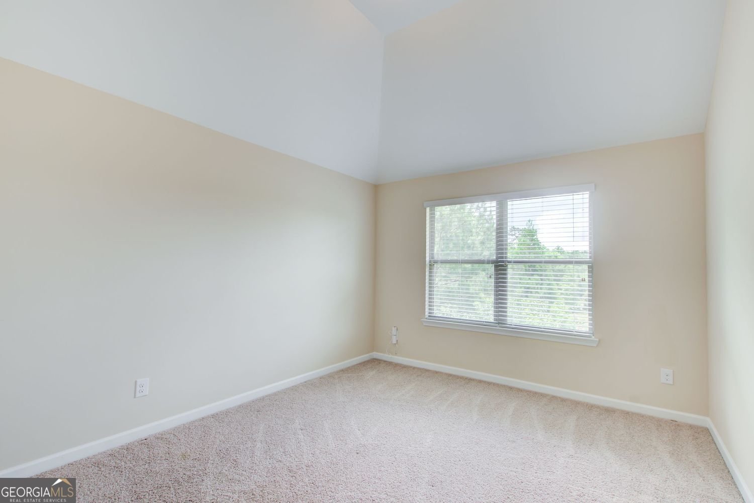 344 Mango Court McDonough - Photo 35