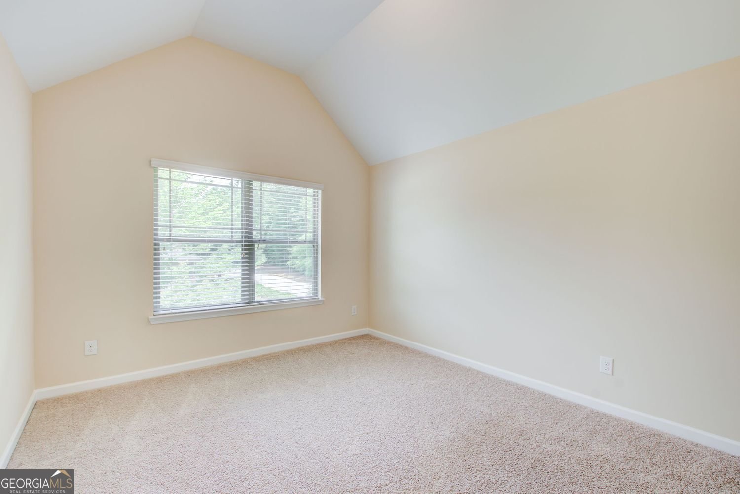 344 Mango Court McDonough - Photo 39