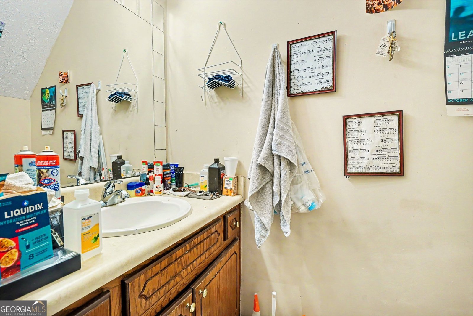 1674 Hunting Creek Drive Conyers - Photo 8