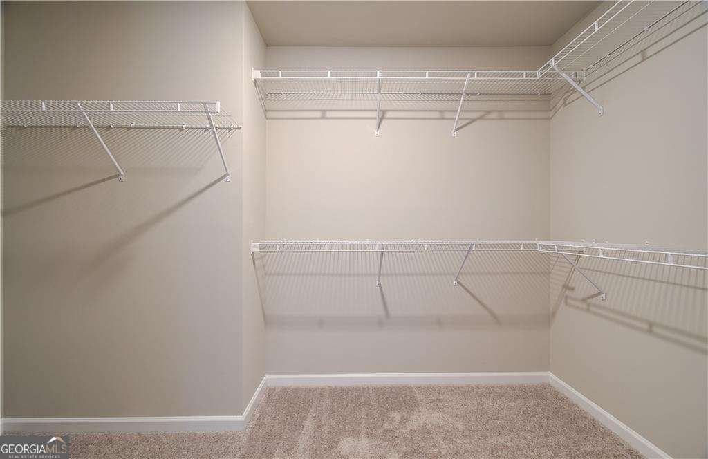 1559 Stinson Lane Locust Grove - Photo 30