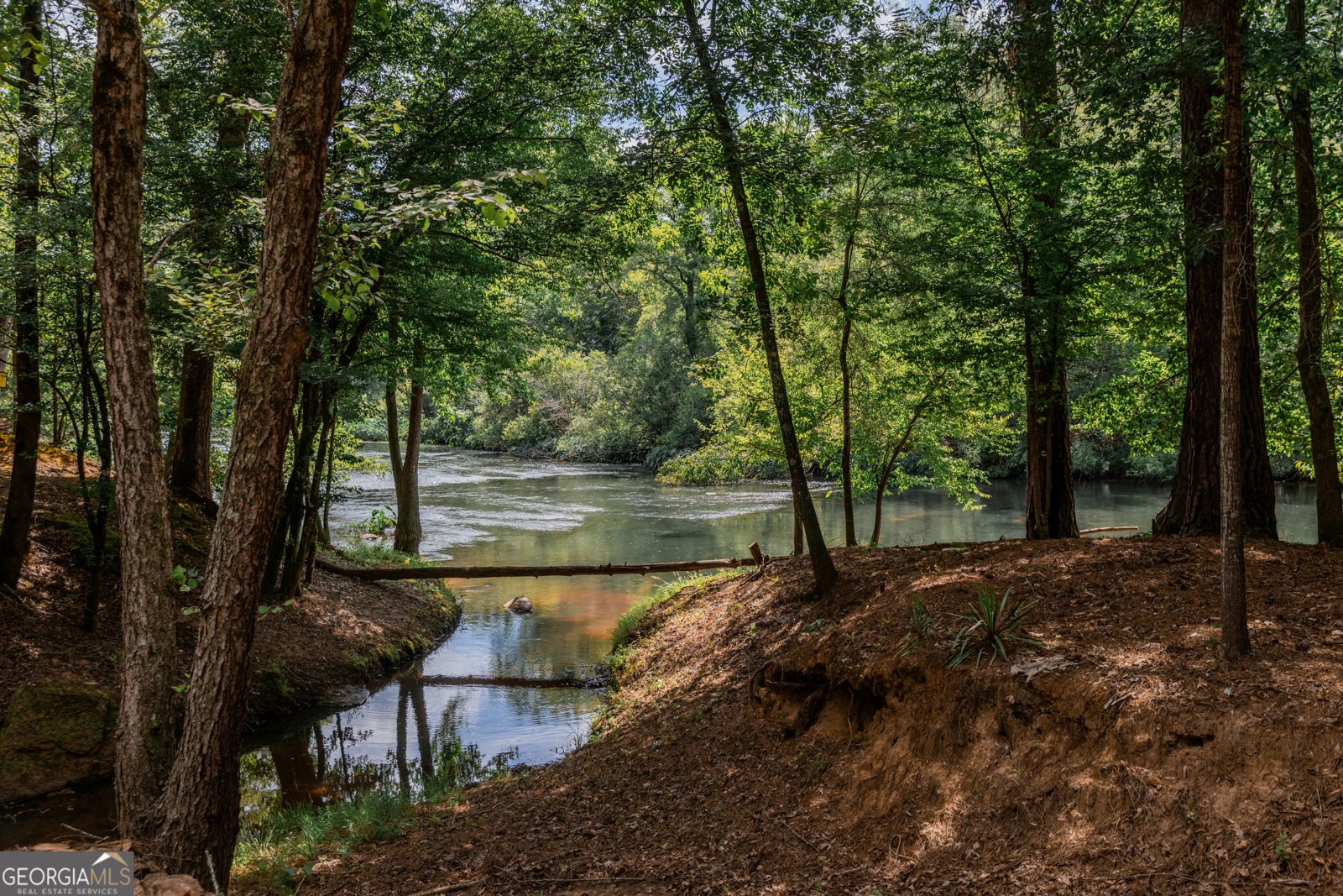411 Mayfield Road Forsyth - Photo 45