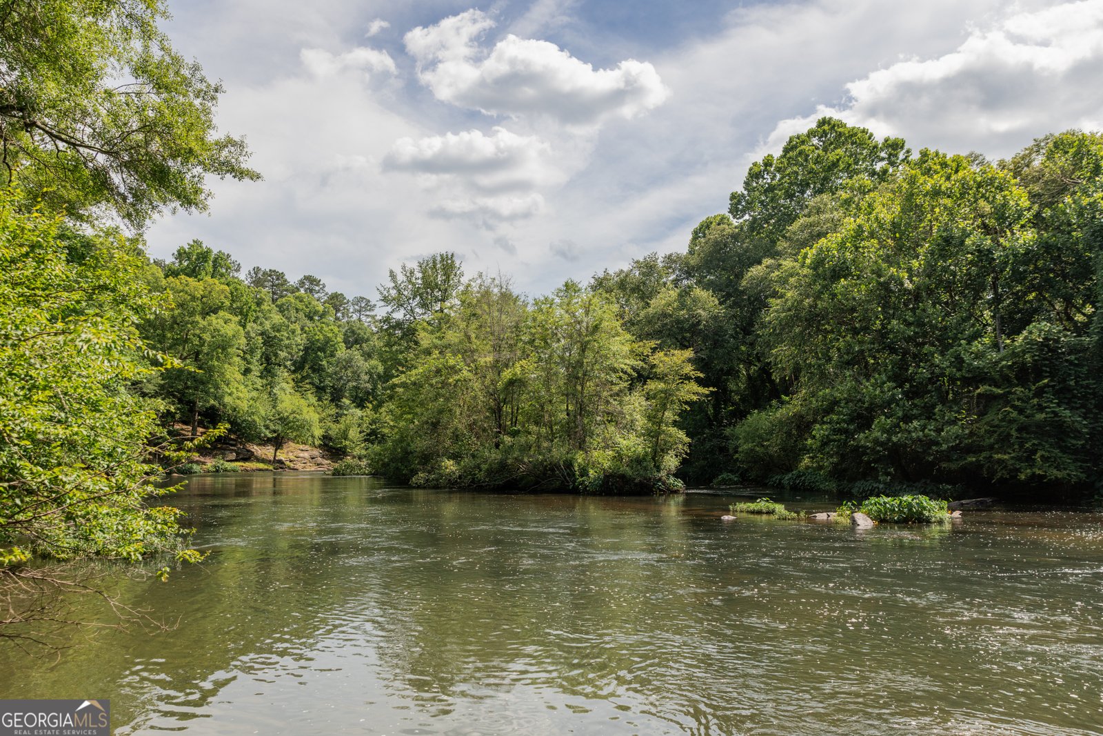 411 Mayfield Road Forsyth - Photo 49