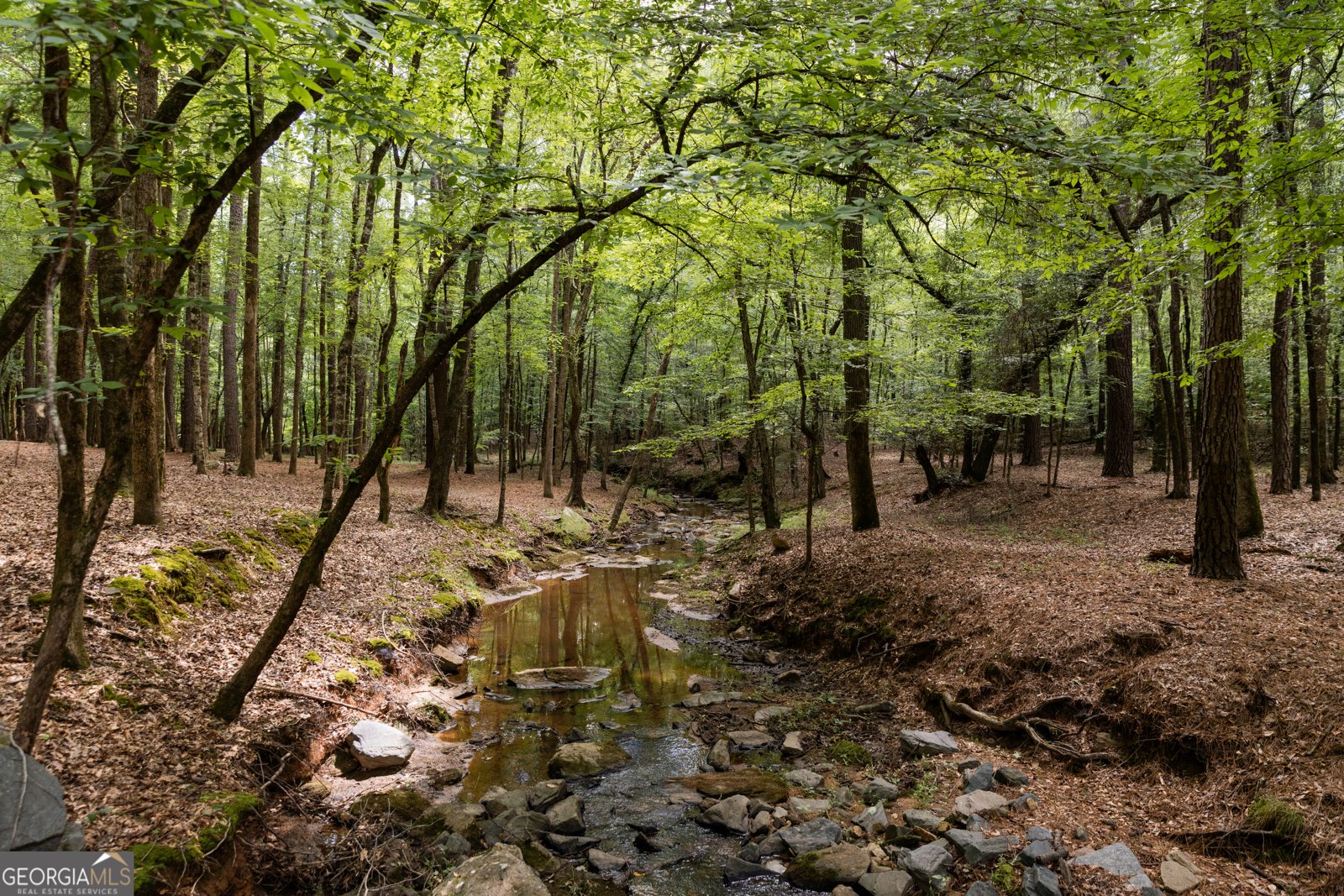 411 Mayfield Road Forsyth - Photo 53