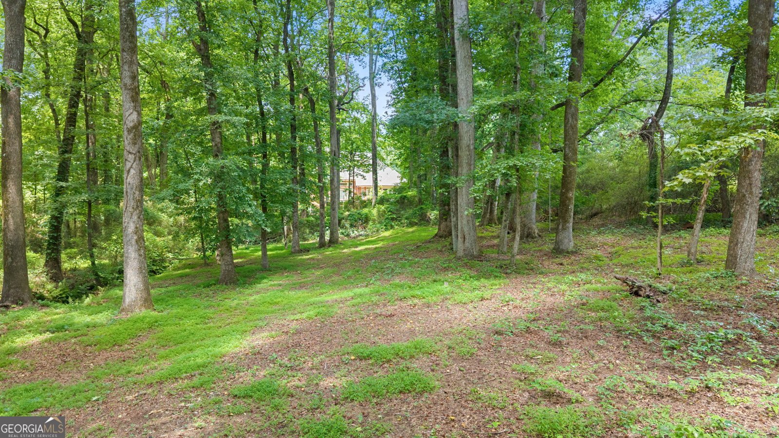 1030 Oaklake Terrace Watkinsville - Photo 61