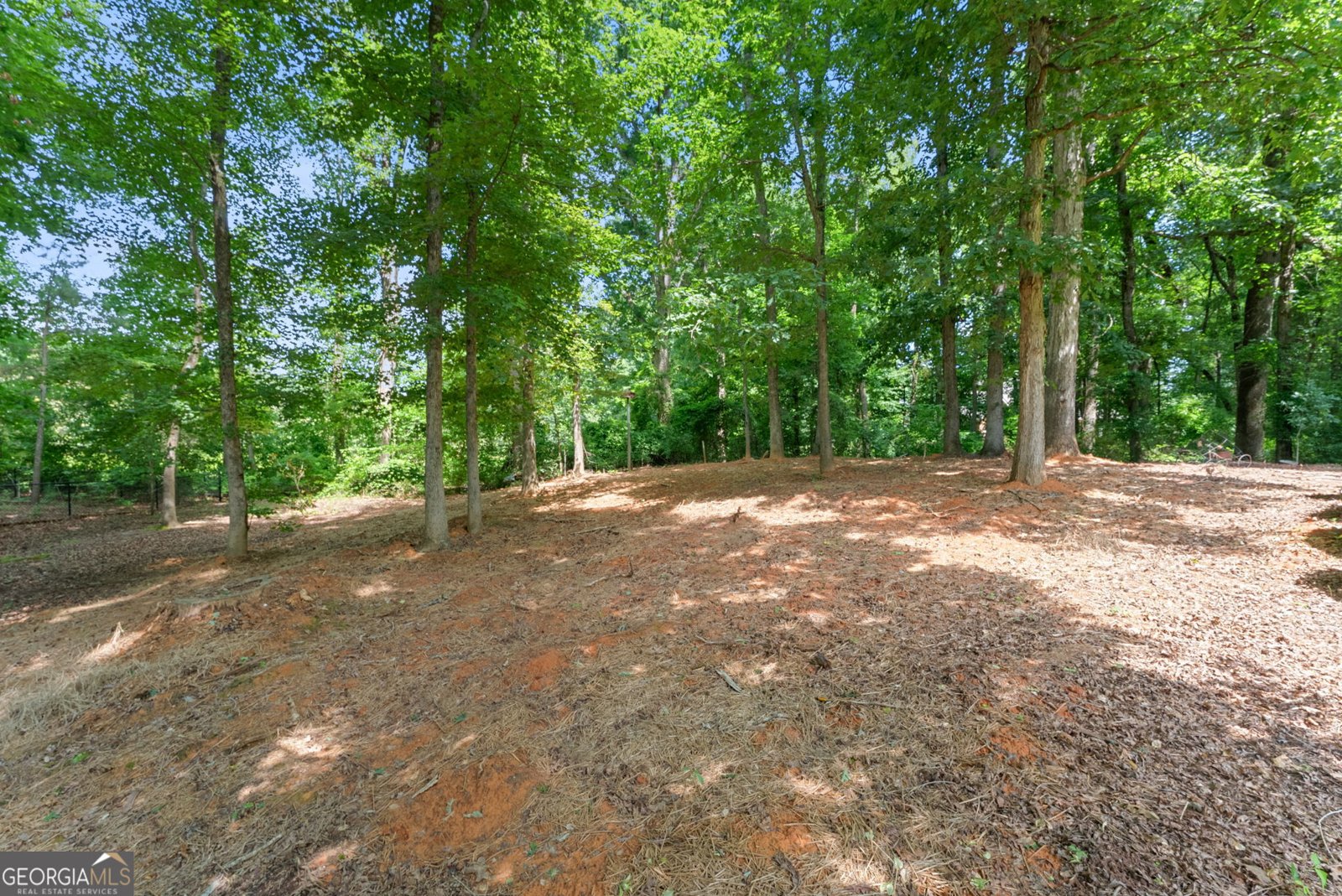 1030 Oaklake Terrace Watkinsville - Photo 62