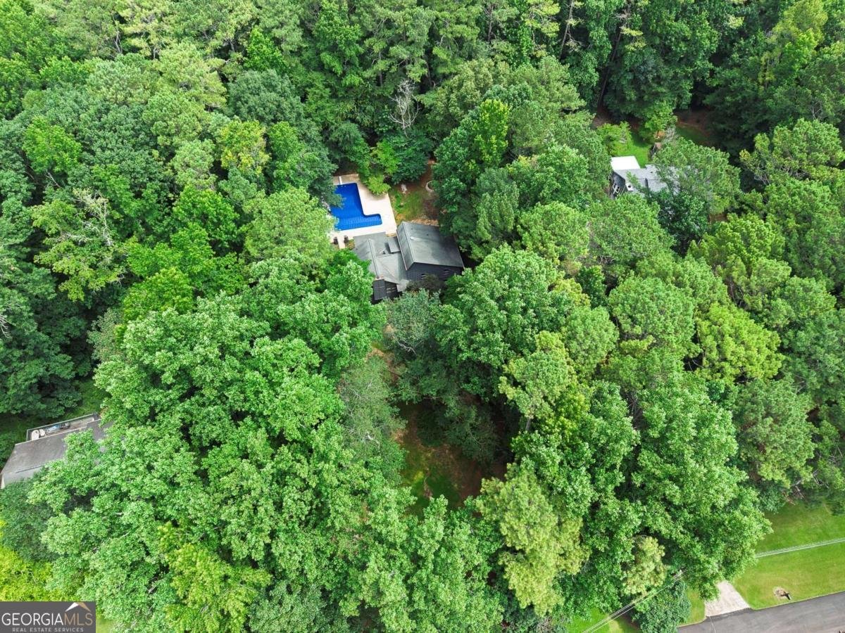 120 Emerald Cove Drive Woodstock - Photo 47