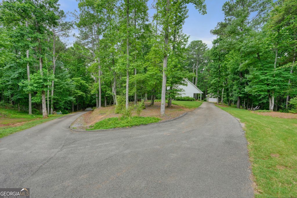 331 Blackberry Trail Ball Ground - Photo 42