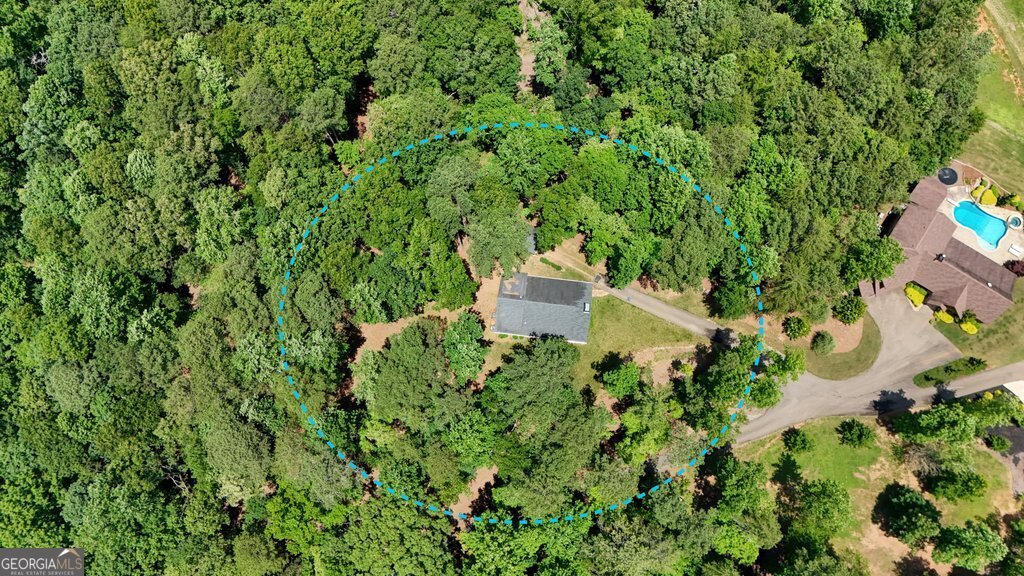331 Blackberry Trail Ball Ground - Photo 45