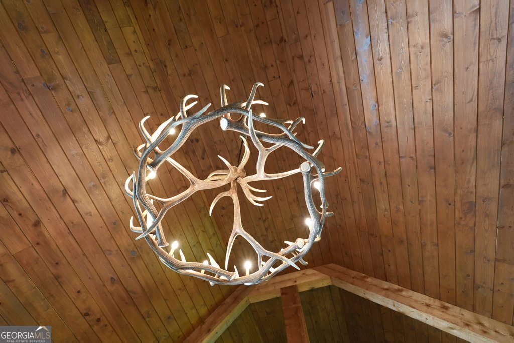 341 Blackberry Trail Ball Ground - Photo 11
