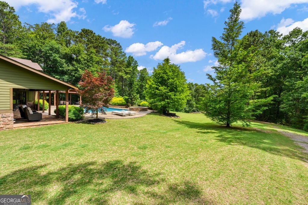 341 Blackberry Trail Ball Ground - Photo 44
