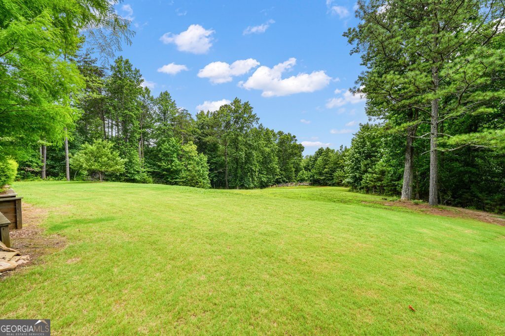 341 Blackberry Trail Ball Ground - Photo 56