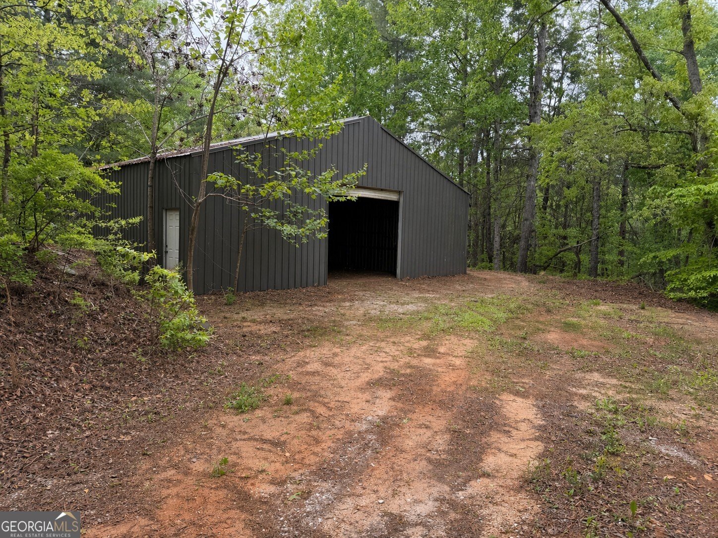 341 Blackberry Trail Ball Ground - Photo 58
